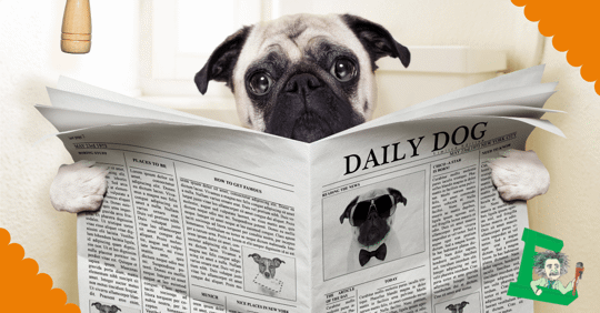A dog holding a newspaper while sitting on a toilet